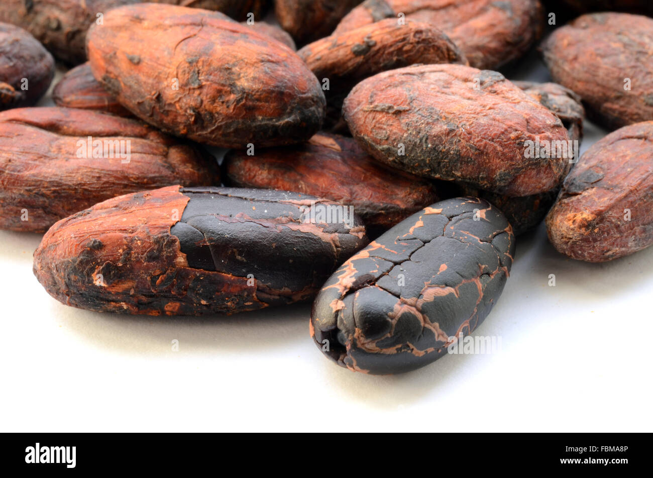 Les fèves de cacao brutes sur un fond blanc Banque D'Images