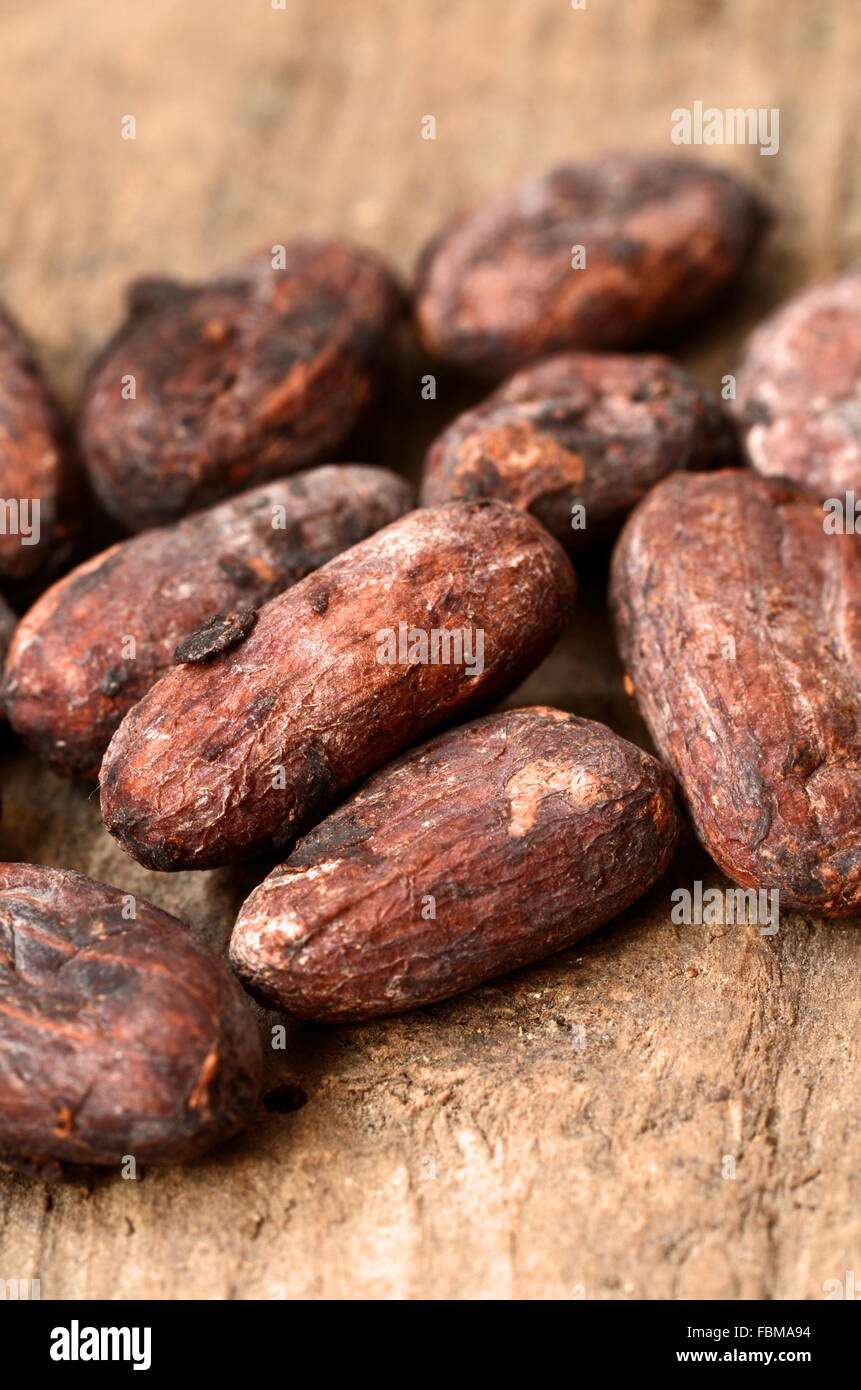 Les fèves de cacao brutes sur un fond sombre. Banque D'Images