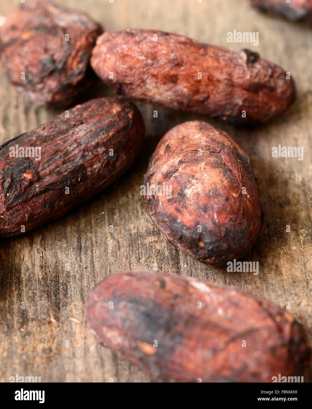 Les fèves de cacao brutes sur un fond sombre. Banque D'Images