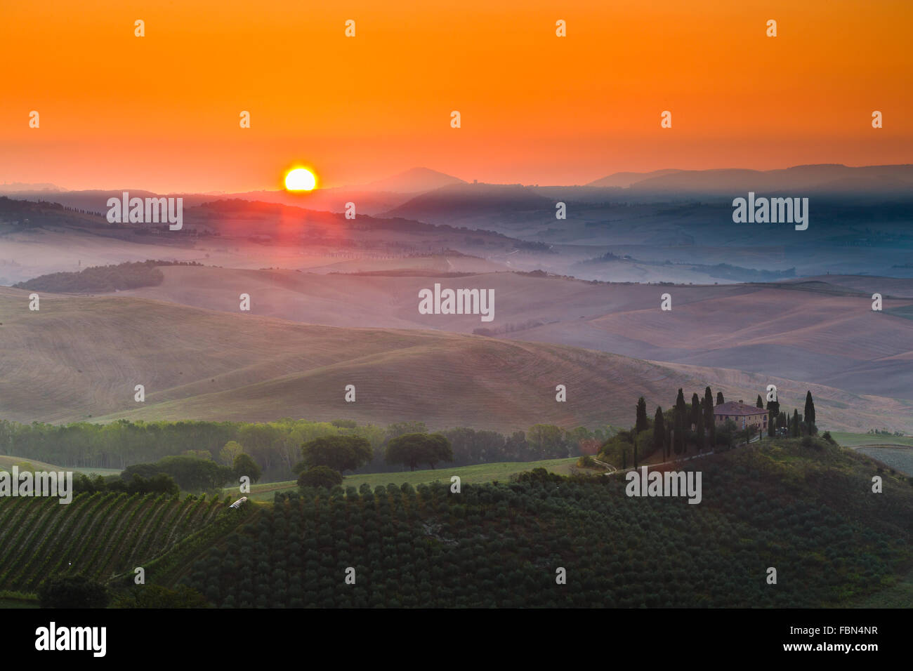 Podere Belvedere par sunrise, Val d'Orcia, Sienne, Toscane (région), Italie. Banque D'Images