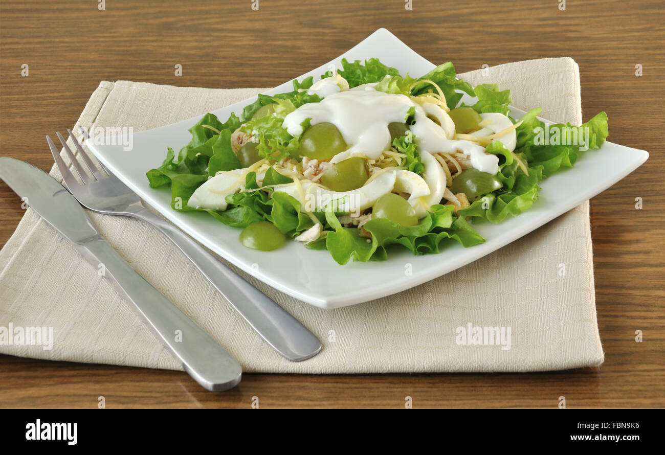 Avec salade de poulet en feuilles de laitue avec l'oeuf, le fromage, le yogourt et les raisins sous Banque D'Images