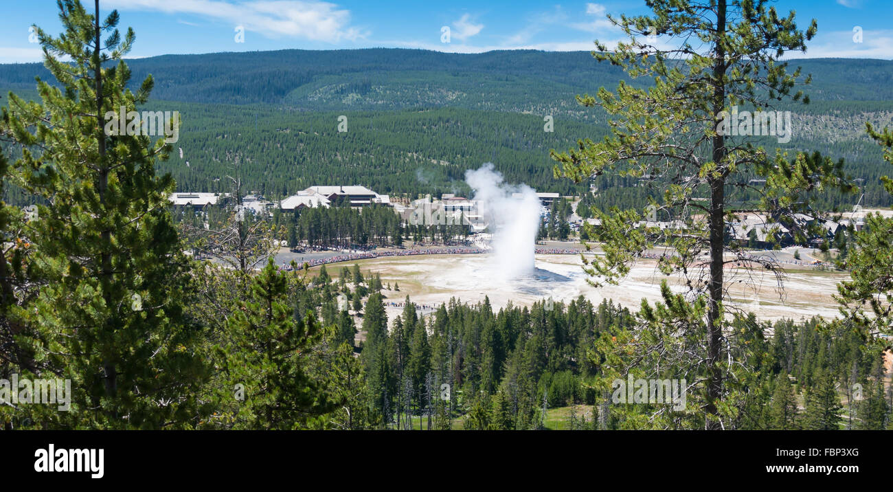 Old Faithful Geyser, Yellowstone National Park Banque D'Images