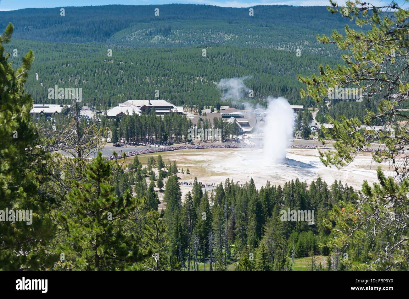 Old Faithful Geyser, Yellowstone National Park Banque D'Images