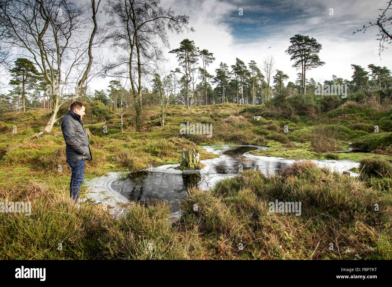 Homme debout par un étang gelé près de Blackdown - Parc national de South Downs, Sussex, Angleterre Banque D'Images