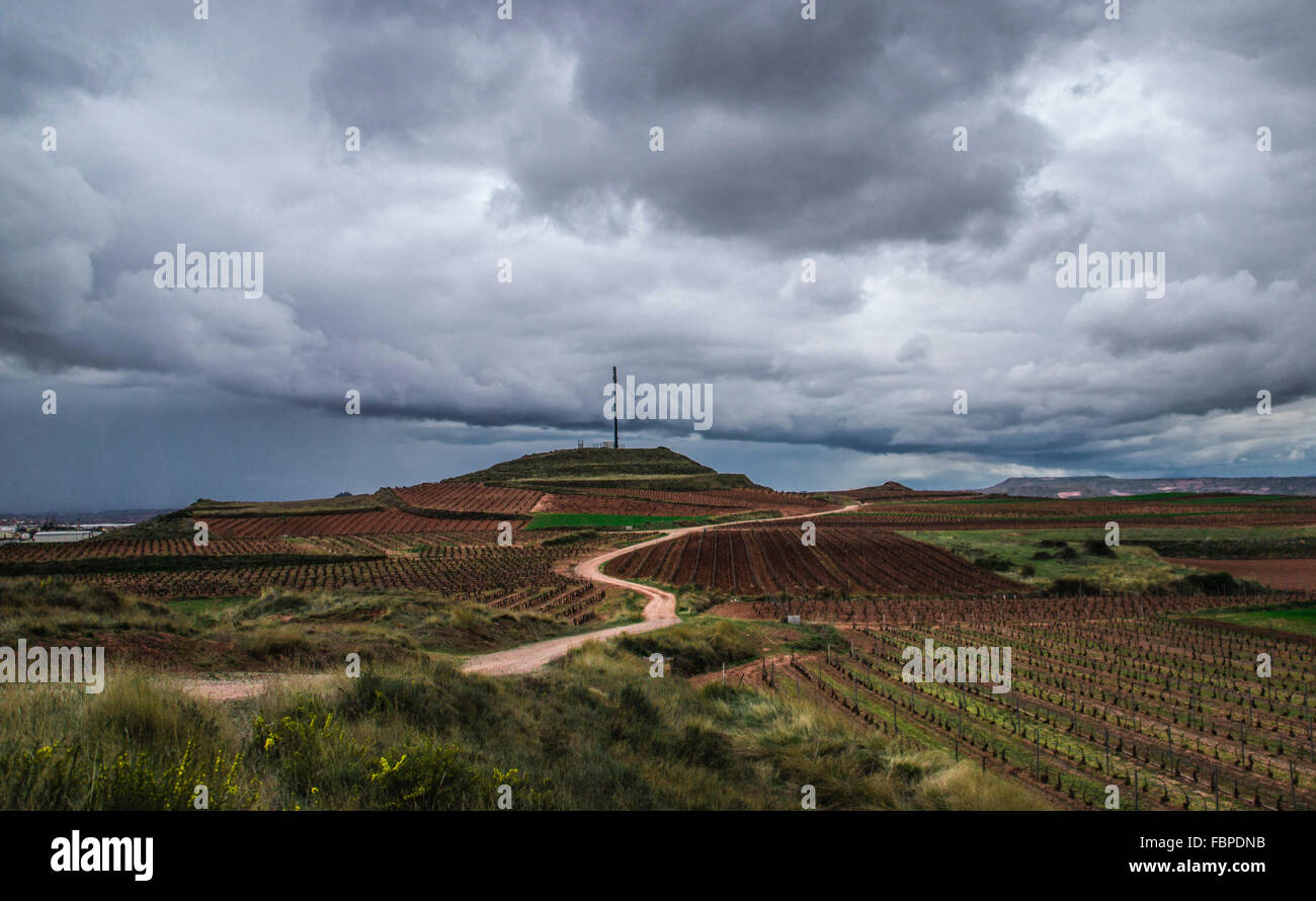 Région viticole de l'Espagne Banque D'Images