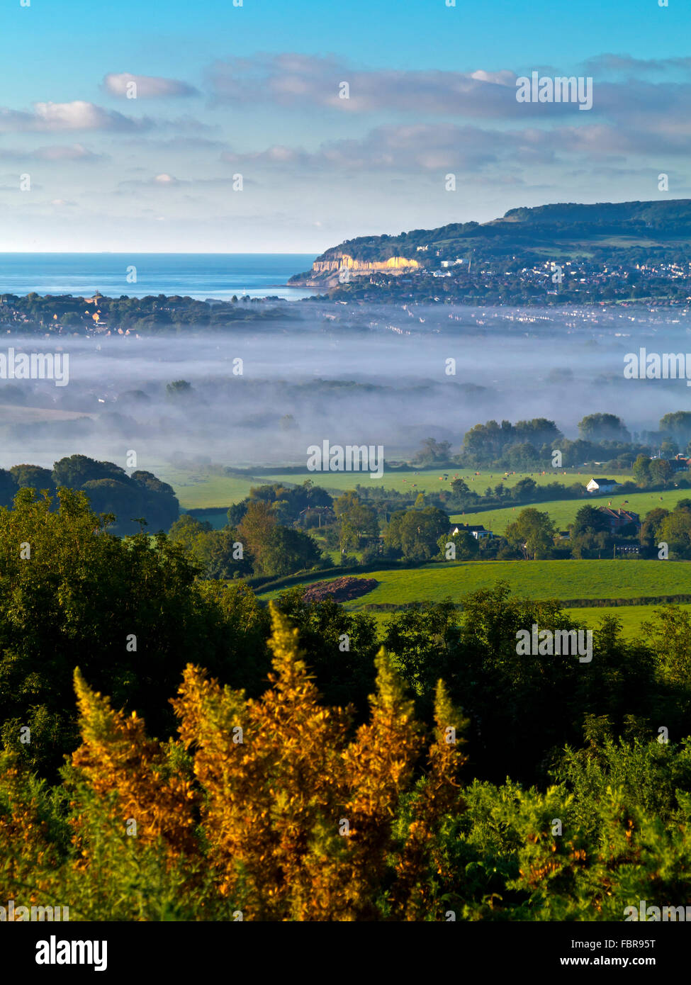 Vue sur Brading bas sur une tôt le matin en direction d'été brumeux de la côte est de l'île de Wight dans le sud de l'Angleterre, Royaume-Uni Banque D'Images