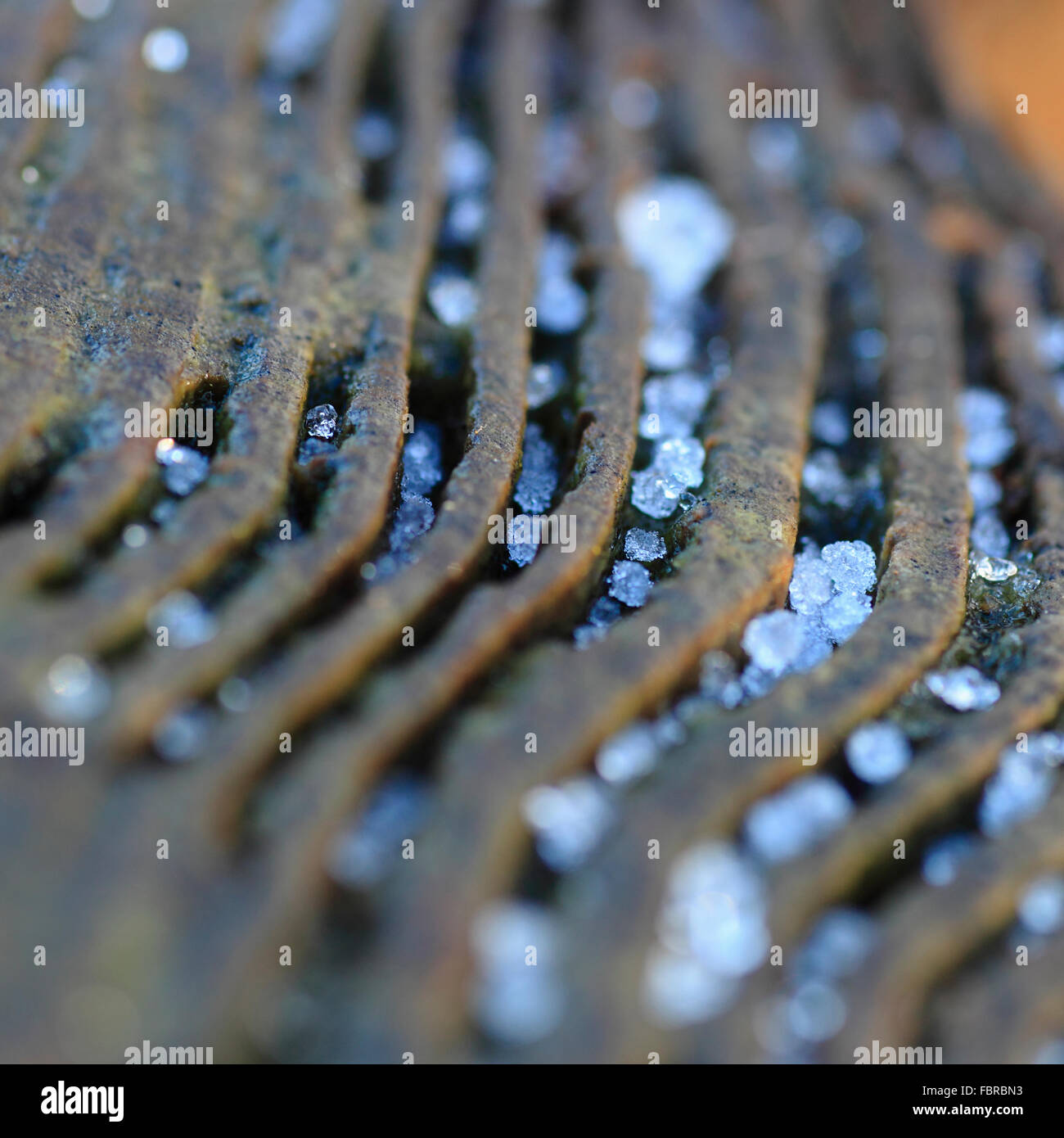 Les gouttelettes d'eau gelée dans les rainures des joints toriques d'un arbre. Banque D'Images