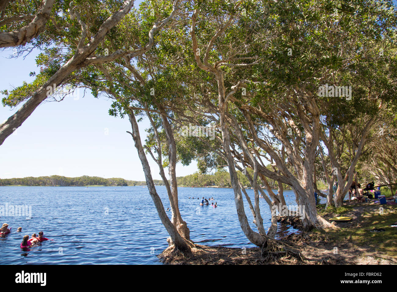 Lake Ainsworth à Lennox Head, le nord de la Nouvelle-Galles du Sud, Australie Banque D'Images