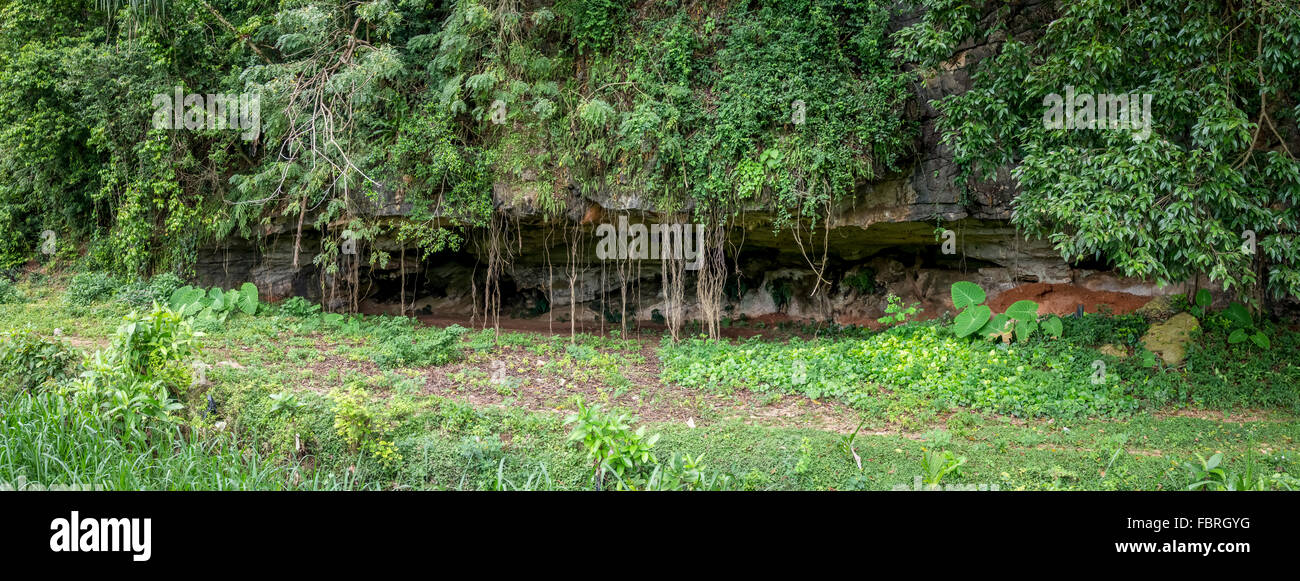 Une grotte cachée à la base d'une montagne. Banque D'Images