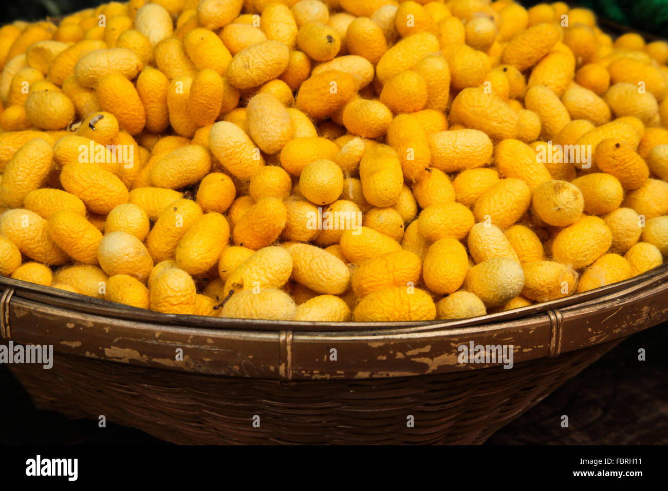 Bangkok, Thaïlande, 2016. Panier de centaines de matières premières naturelles les cocons de soie. Banque D'Images