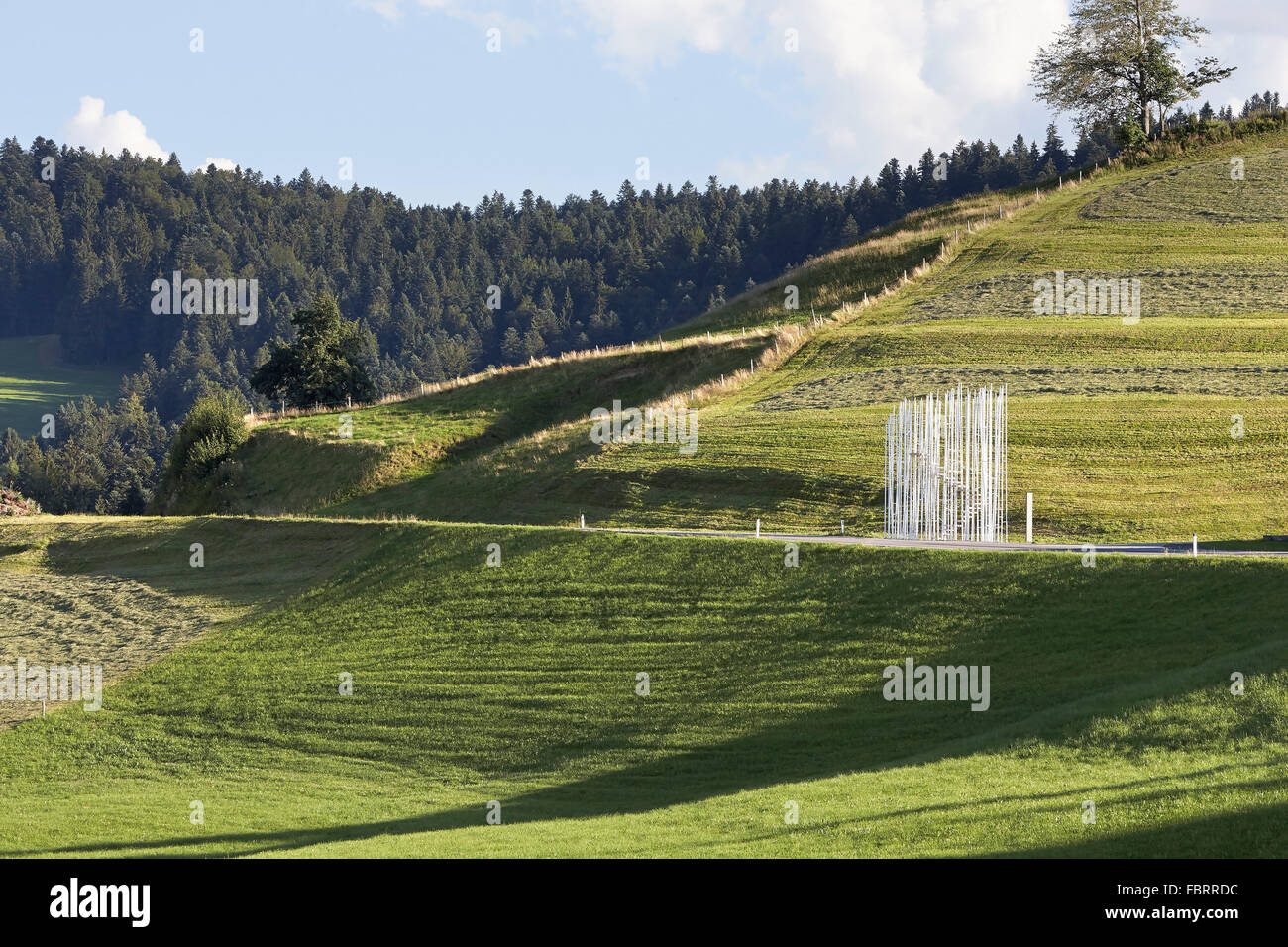 La structure élancée de Fujimoto en paysage.:Projet:Arrêt de bus à Krumbach, Autriche, Bränden, Autriche. Architecte : Sou Fujimoto, 201 Banque D'Images