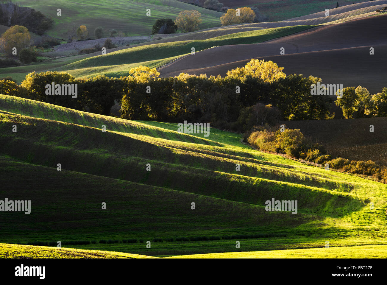 Printemps coloré paysage rural en Toscane, Italie Banque D'Images