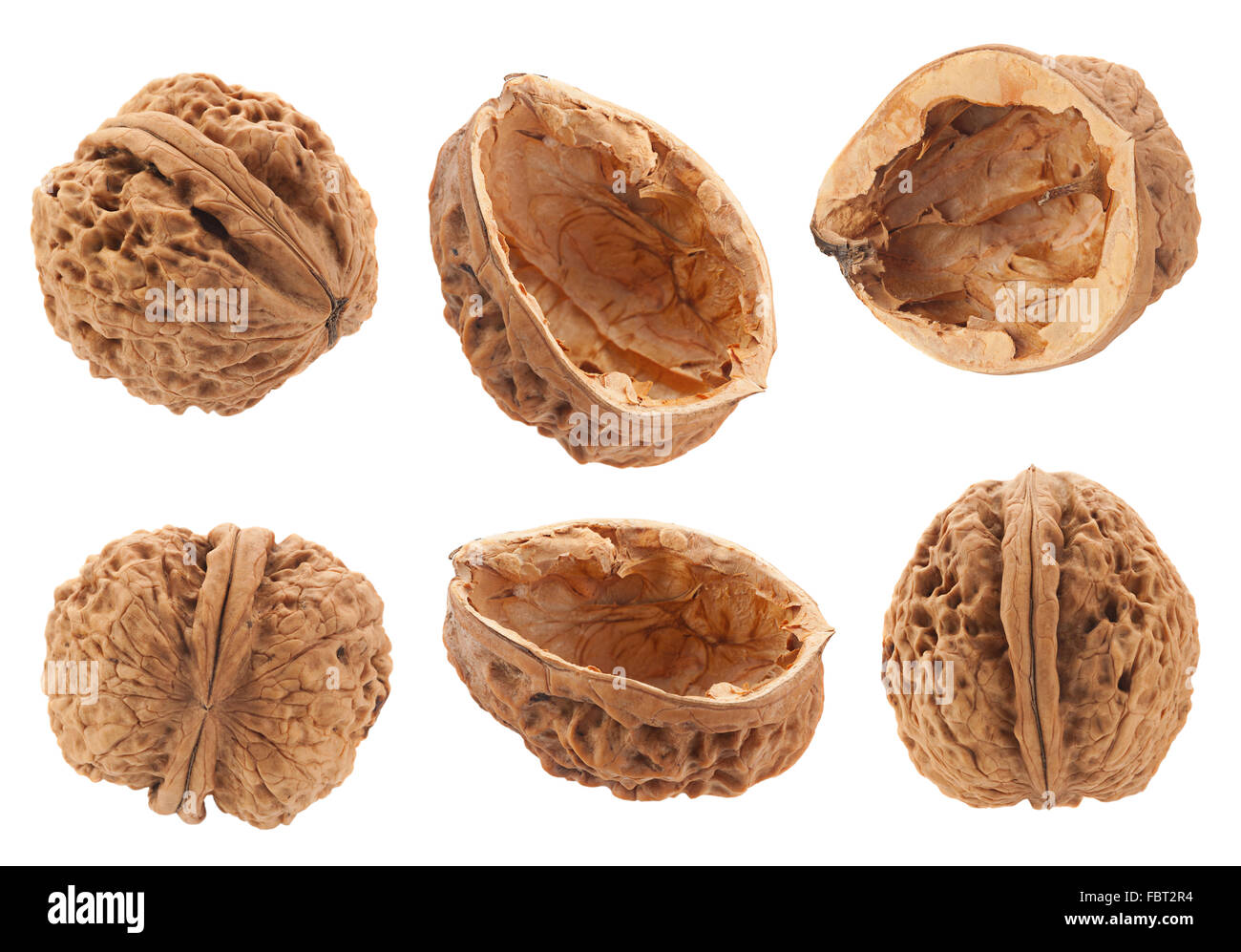 Mise à fruit noix libre isolé sur fond blanc Banque D'Images