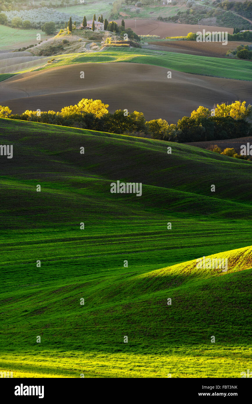 Beau paysage de champs plantés en Toscane. Val d'Orcia en Italie Banque D'Images