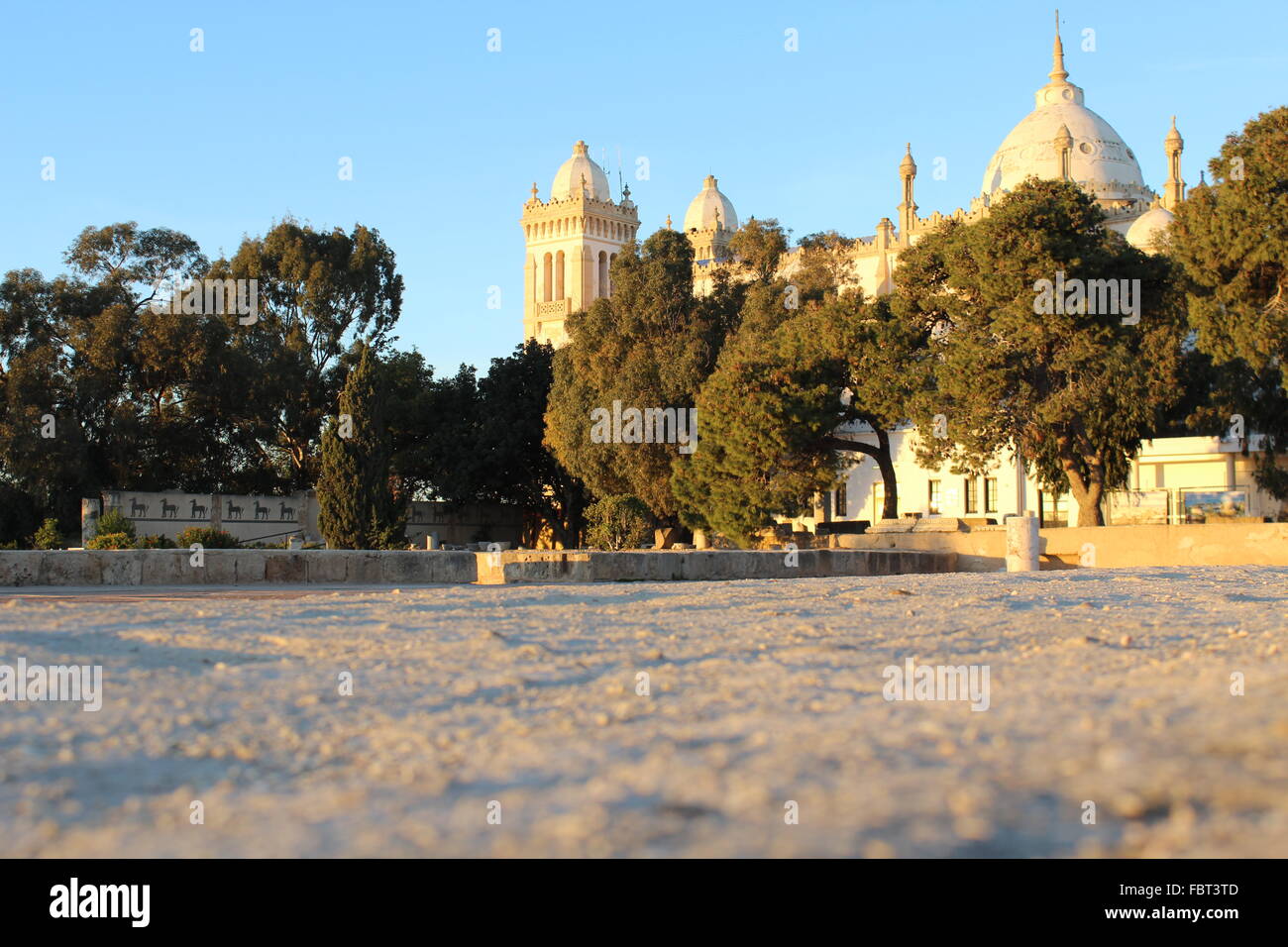 Acropolium de Carthage en Tunisie. Banque D'Images