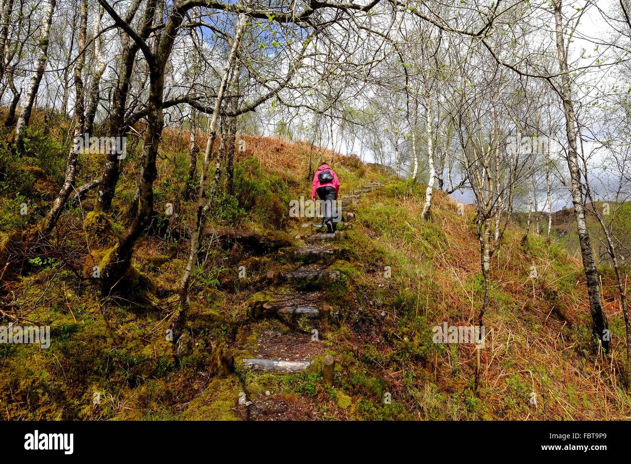 Woman walking up chemin de campagne dans les Highlands écossais. Banque D'Images