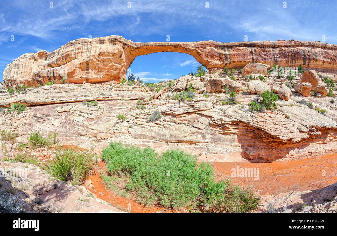 Owachomo Bridge in Natural Bridges National Monument, Utah, USA. Banque D'Images