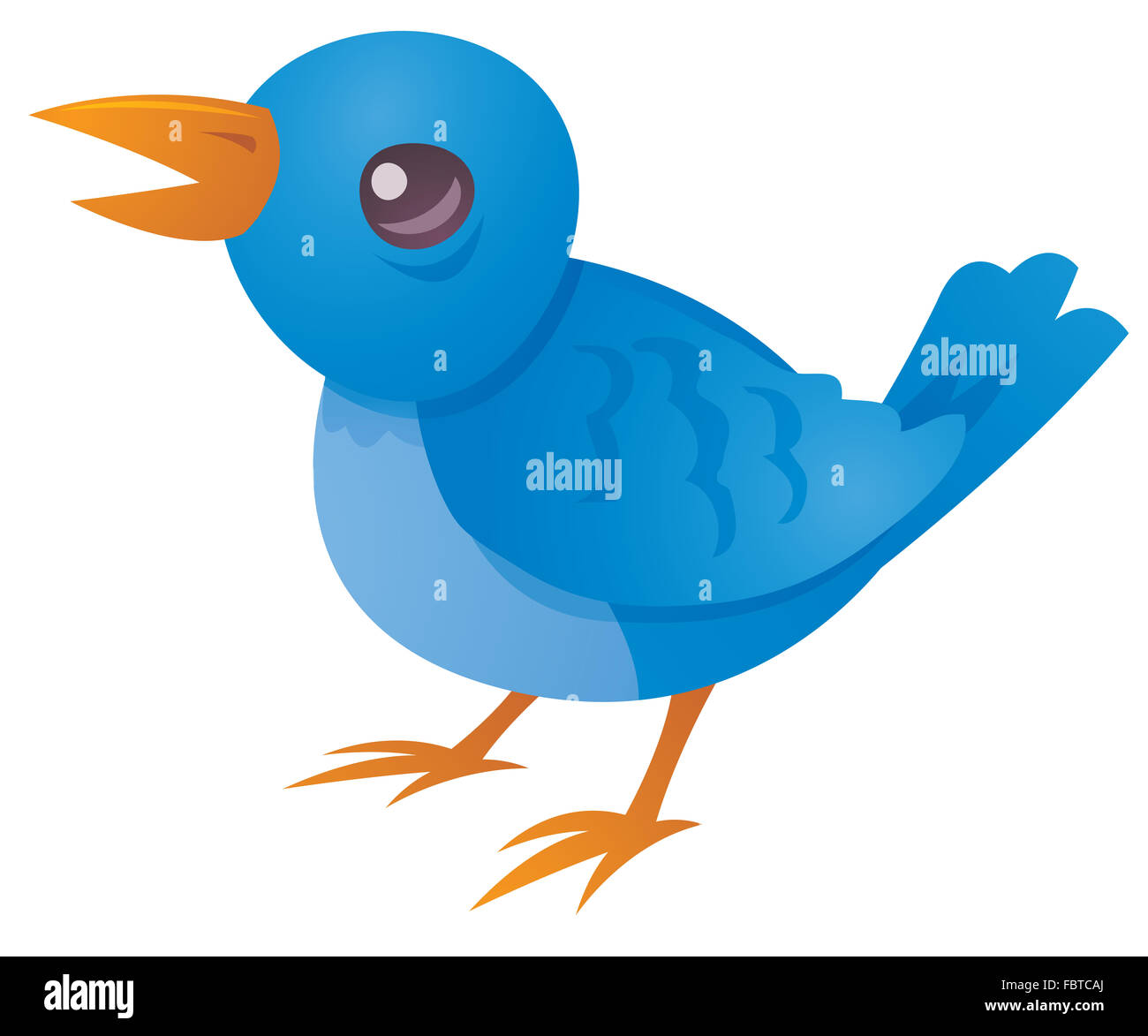 Oiseau bleu Tweet Banque D'Images