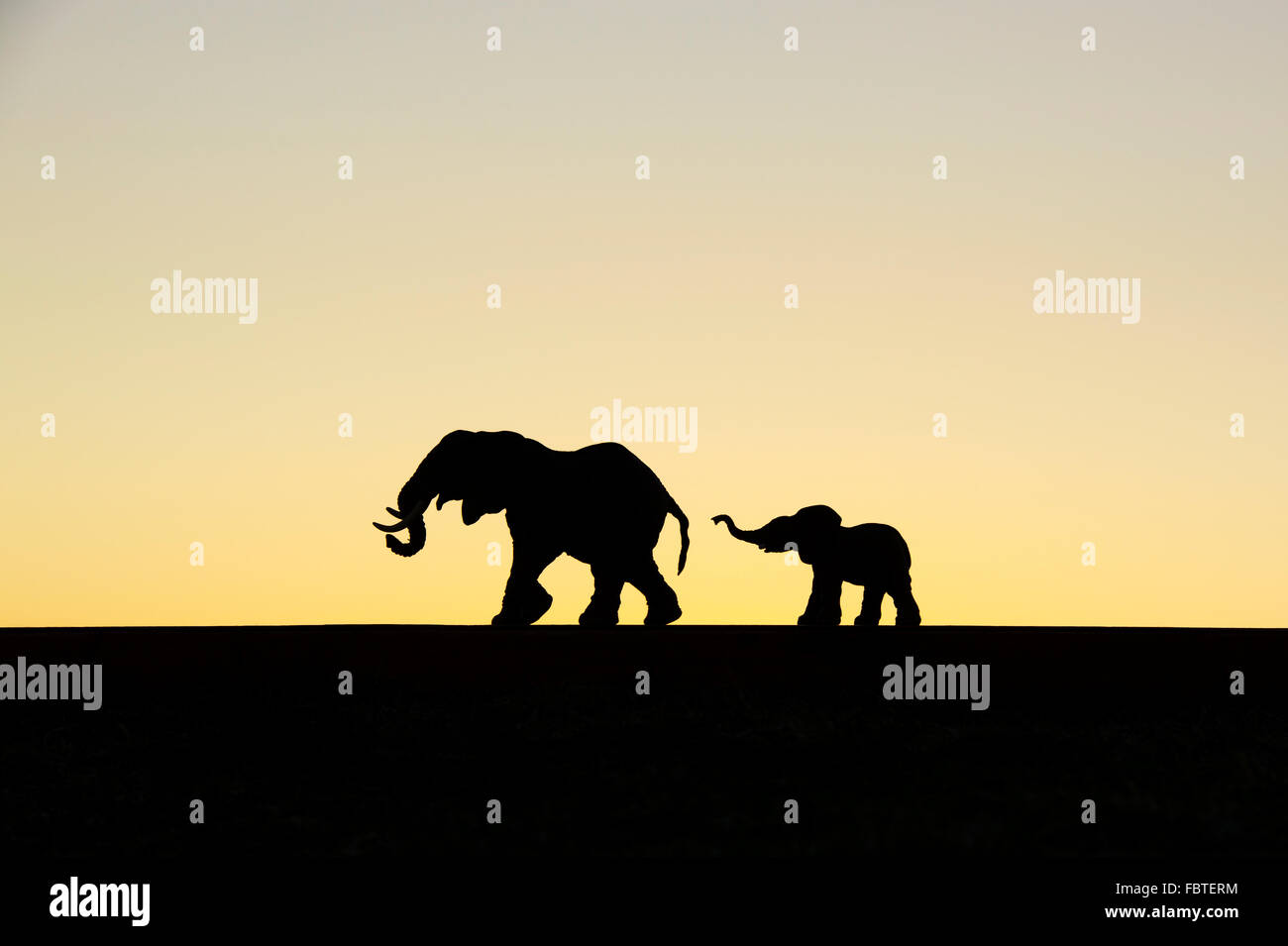 Modèle jouet silhouette éléphants contre un ciel aube Banque D'Images