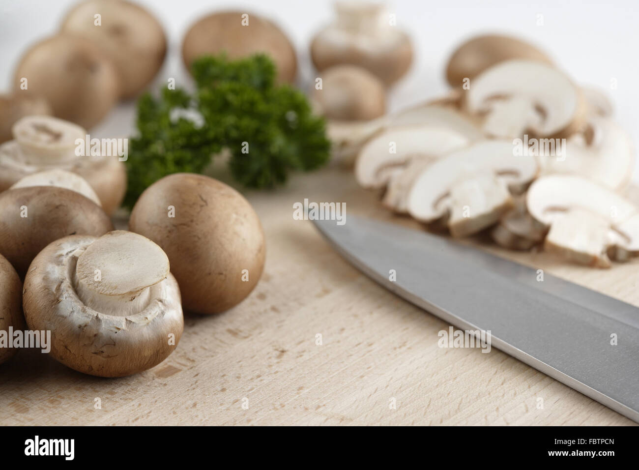 Les champignons, les champignons Banque D'Images