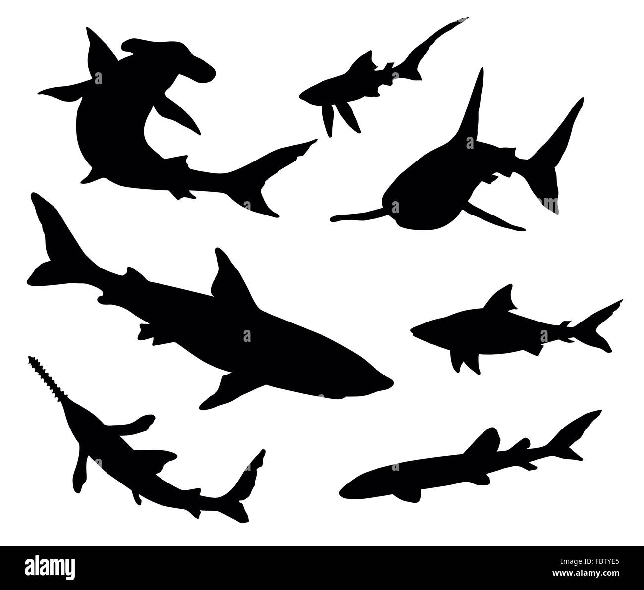 Silhouettes de requins Banque D'Images