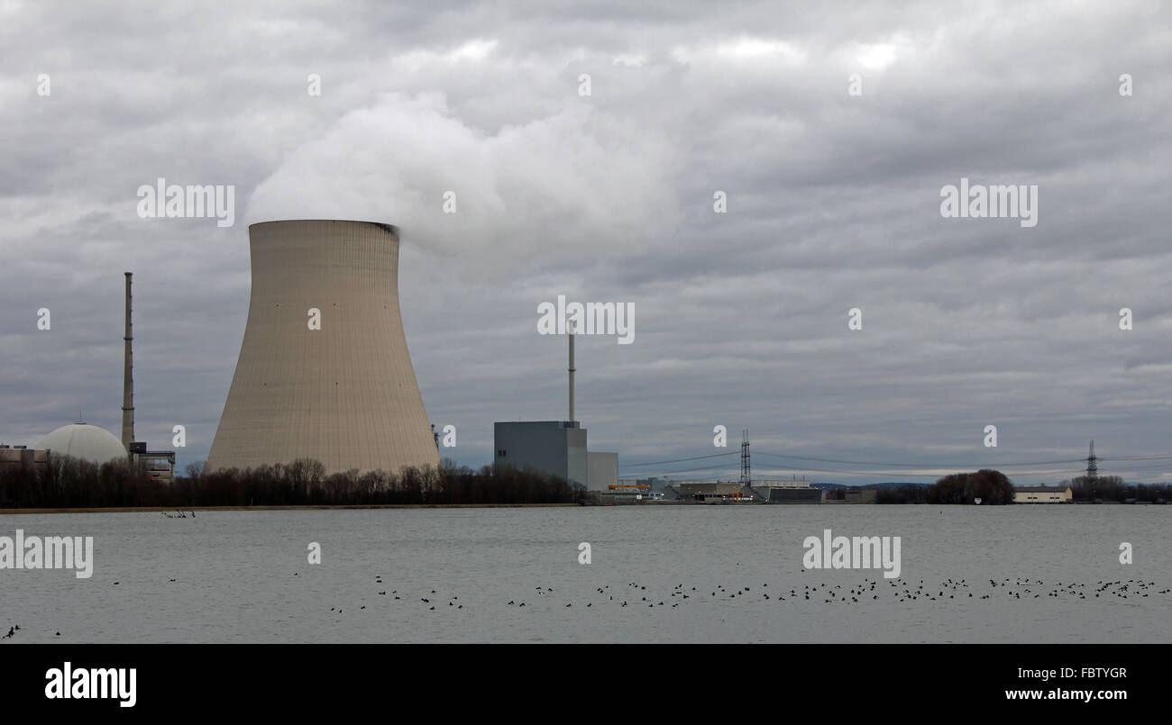 Les canards et la centrale atomique Ohu Banque D'Images