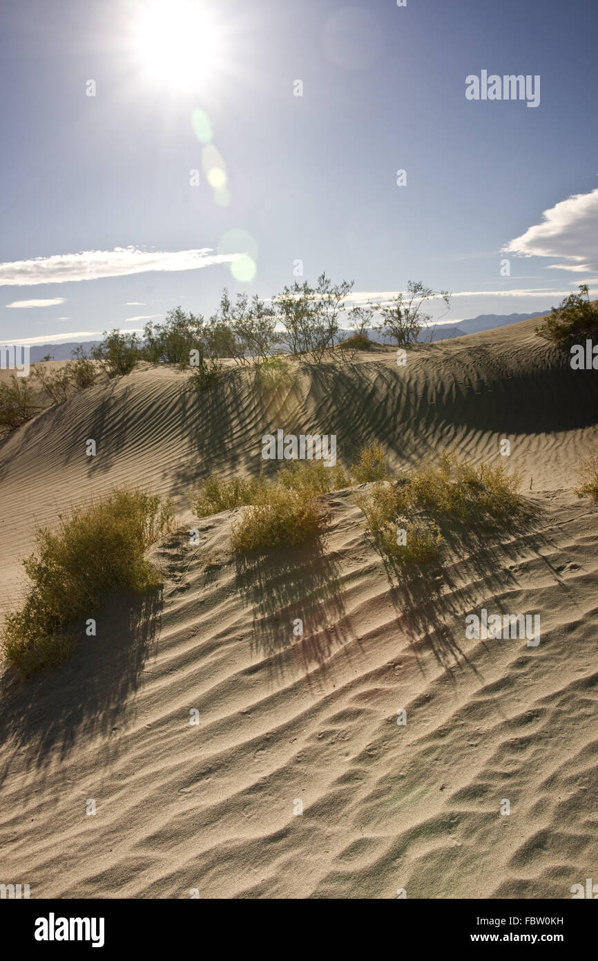 La vallée de la mort les sables de Bokeh Banque D'Images