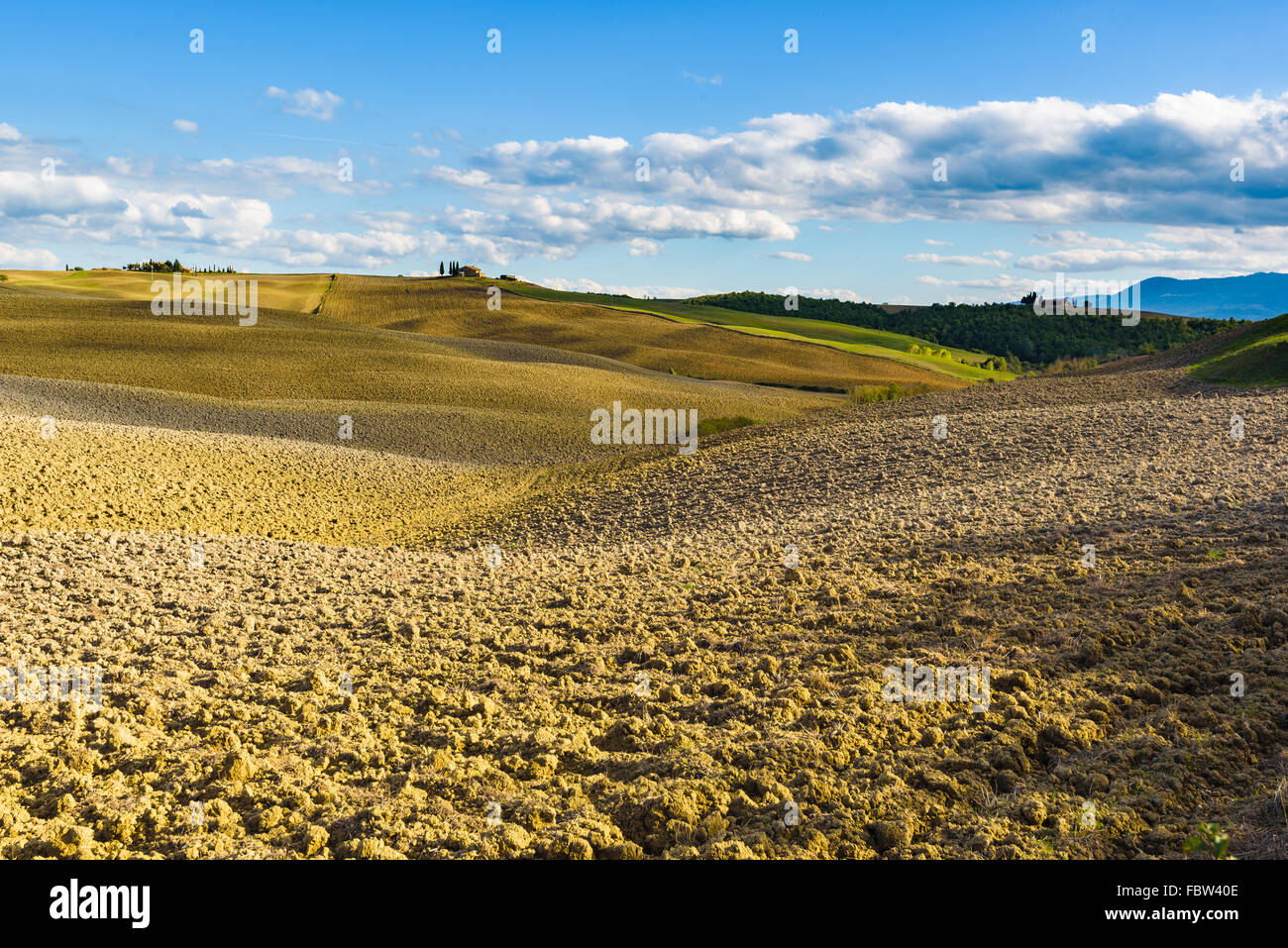 Les champs labourés dans le paysage pittoresque de l'Italie. Paysage de la Toscane. Banque D'Images