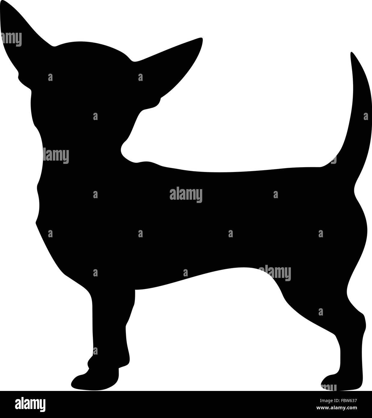 Chihuahua chien. Vector silhouette noire. Illustration de Vecteur
