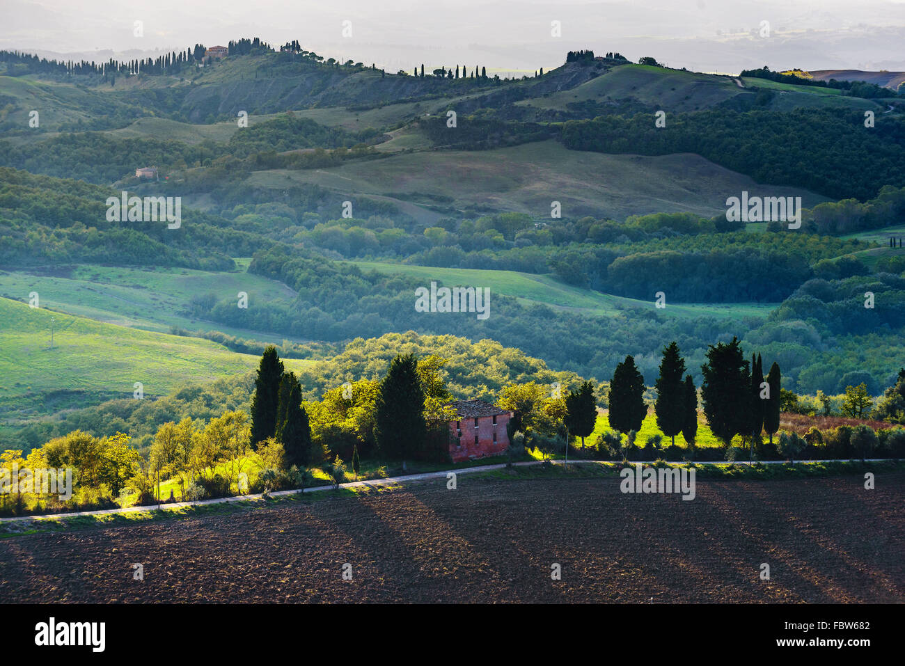 Les champs labourés dans le paysage pittoresque de l'Italie. Paysage de la Toscane. Banque D'Images