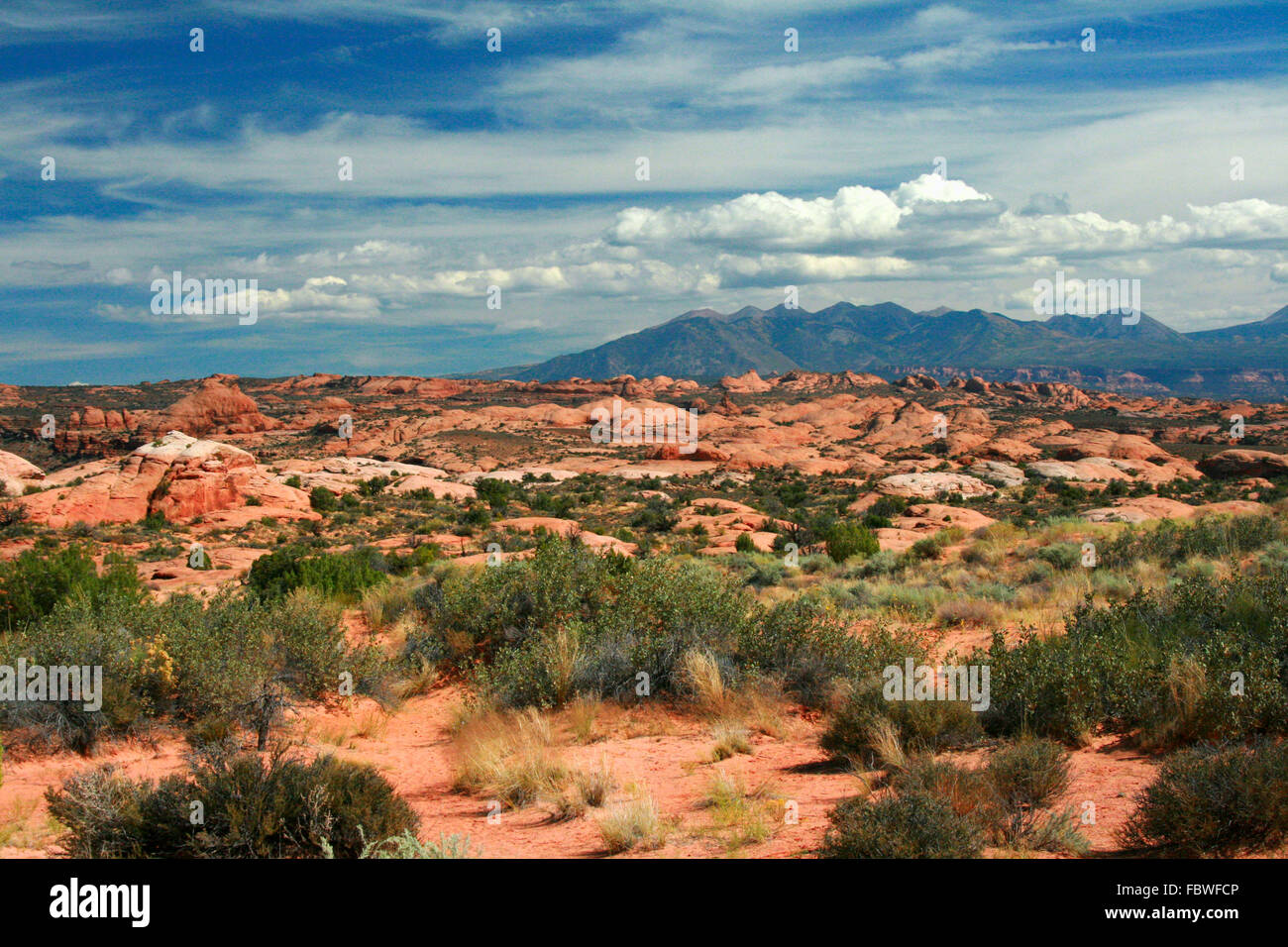 La Sal Mountains est l'extrémité sud des Montagnes Rocheuses et situé dans Arches National Park Utah, USA. Banque D'Images