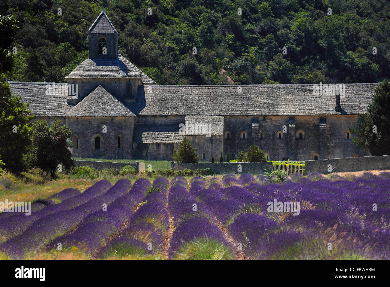 L'Abbaye de Sénanque et de Lavande Banque D'Images