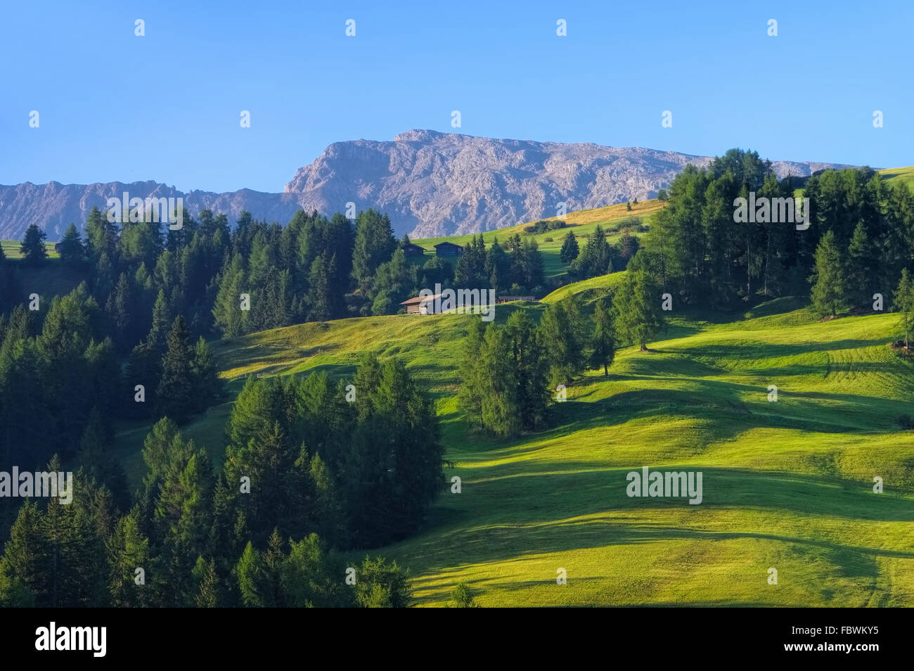 Landschaft beim Berg Schlern dans Südtirol, von Dolomiten - paysage près de mountain Schlern dans l'Alto Adige, italien Dolomi Banque D'Images