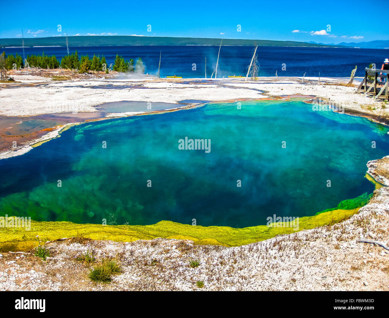 West Thumb Geyser Basin Banque D'Images