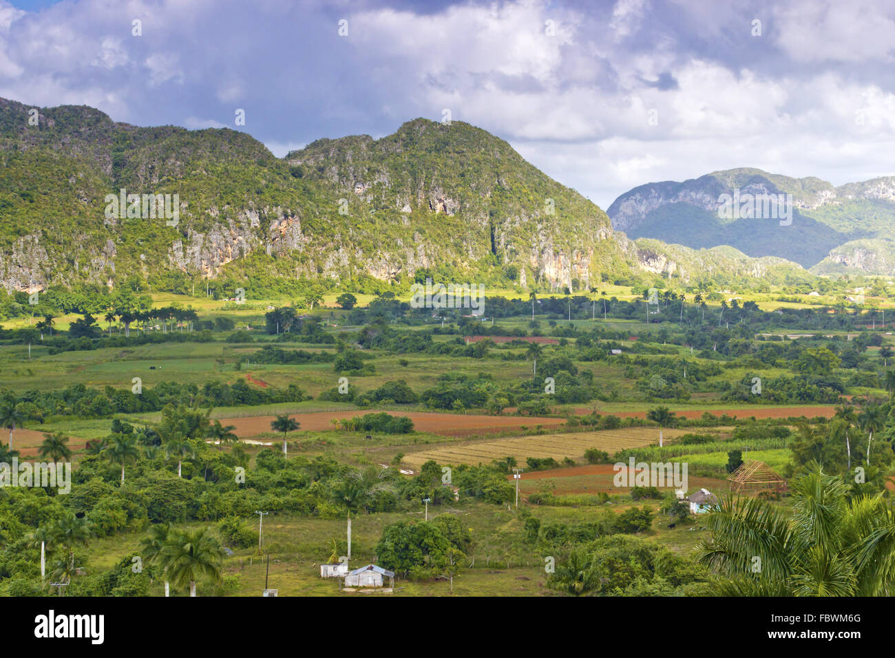 Vue sur la vallée de Vinales Banque D'Images