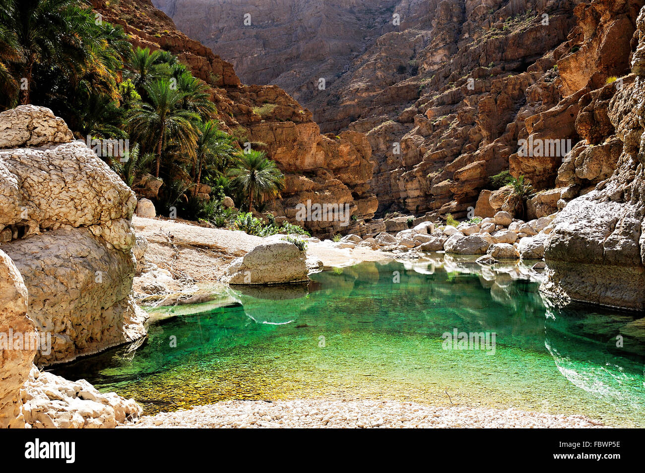 Oasis Sultanat Oman Banque D'Images