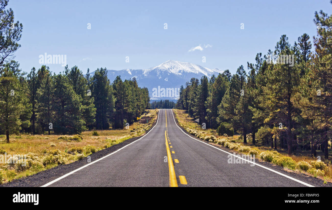 Route de Mt Humphreys, Arizona Banque D'Images