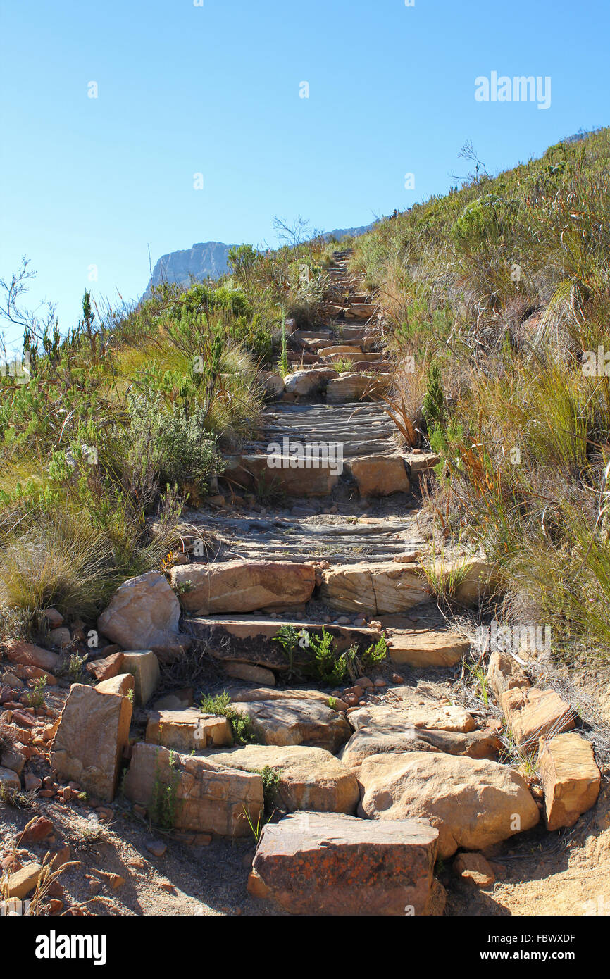 Chemin de randonnée sur la table Mountain, Afrique du Sud Banque D'Images