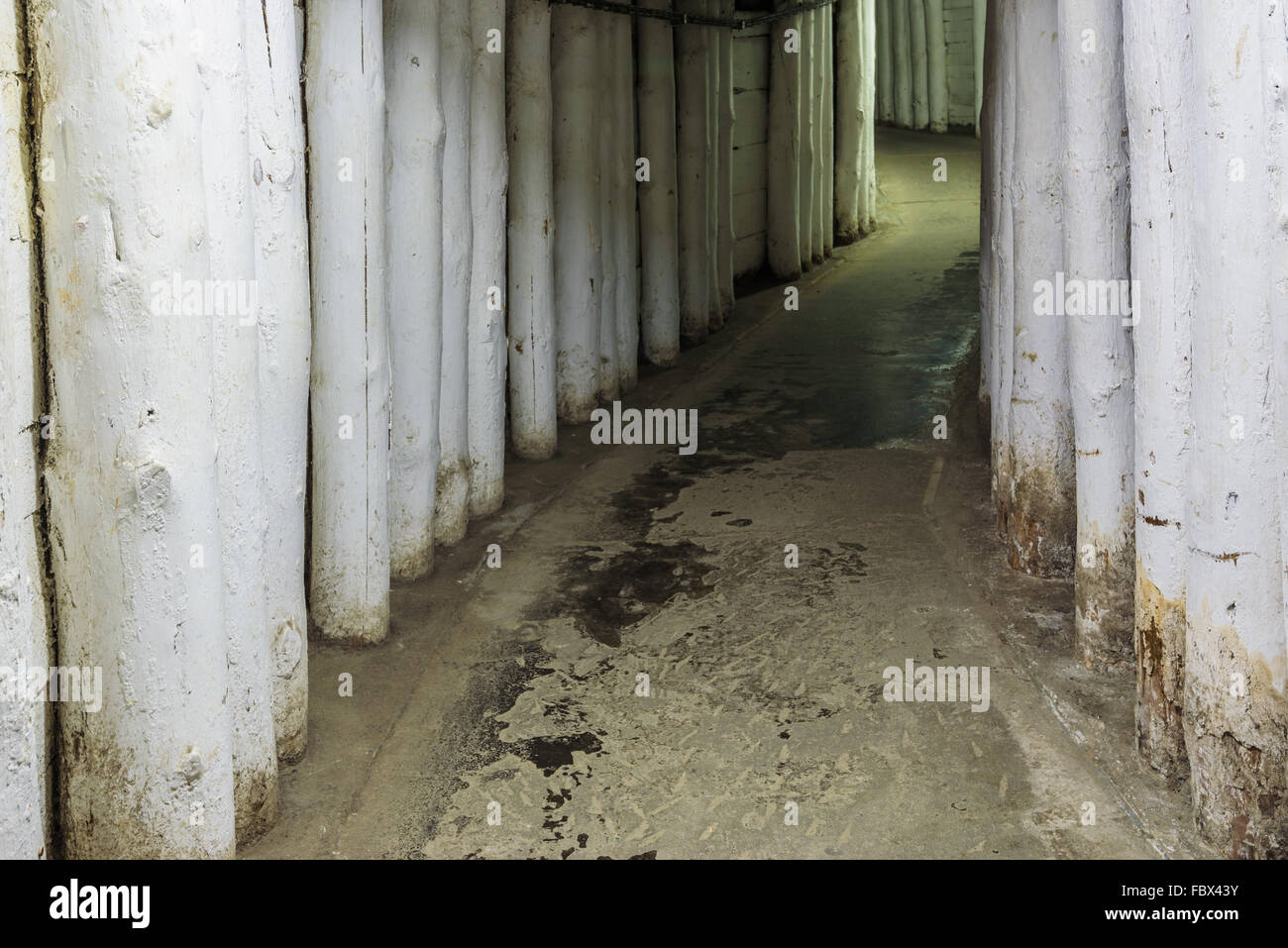 Tunnels de la mine de sel souterraine de Wieliczka, Pologne Banque D'Images