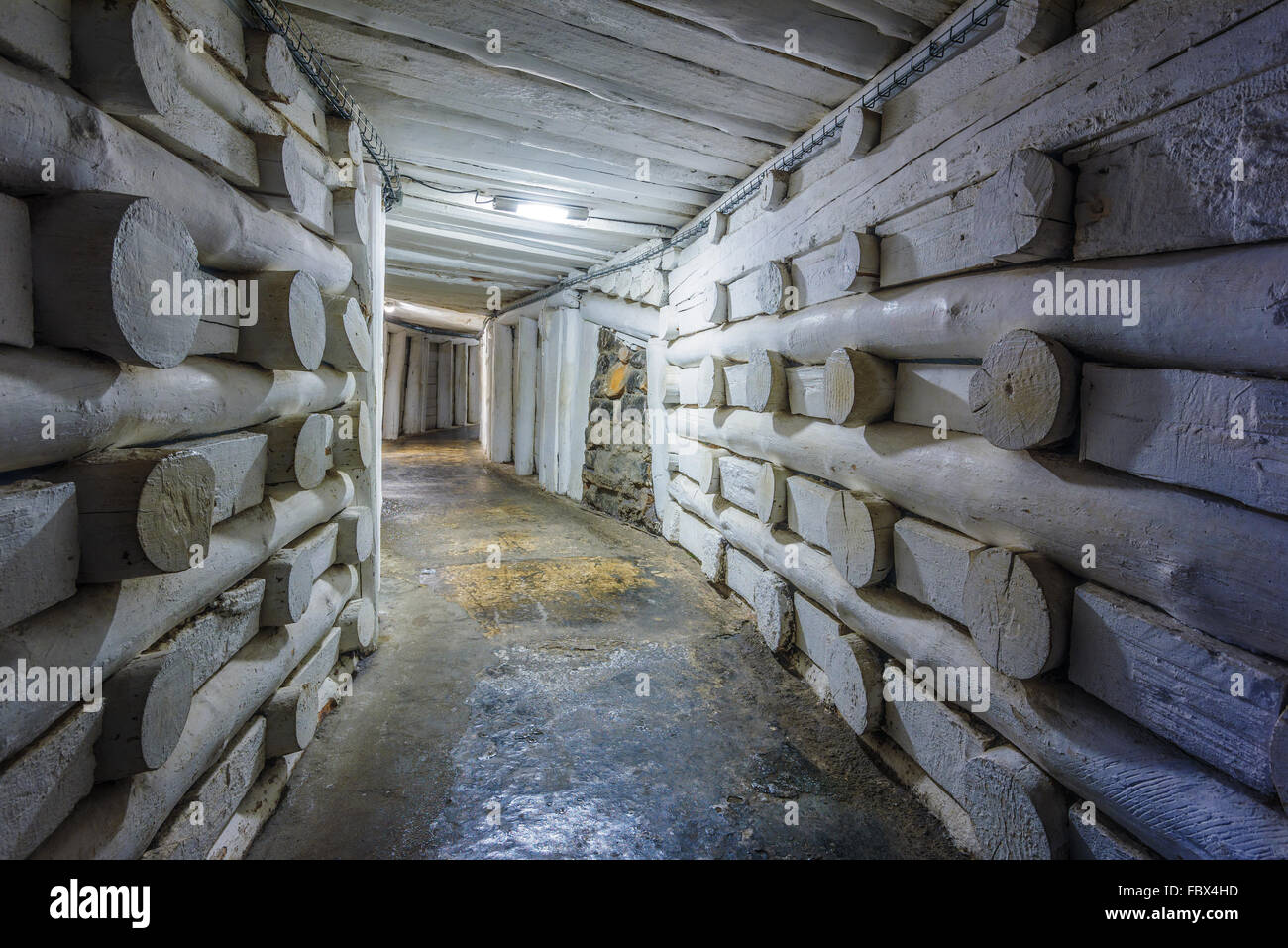 Tunnels de la mine de sel souterraine de Wieliczka, Pologne Banque D'Images