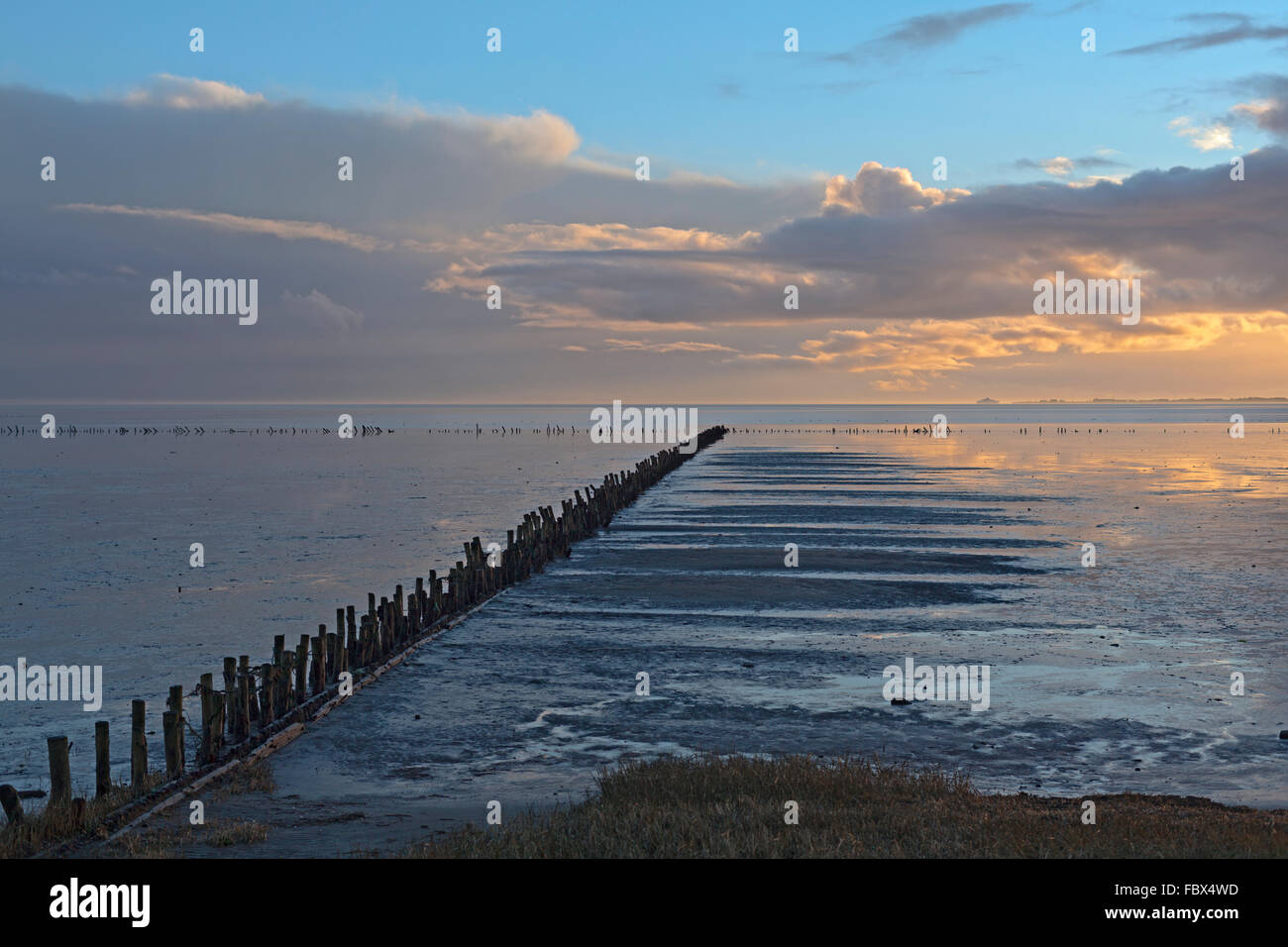 Coucher de soleil sur la mer des Wadden, Danemark en janvier avec des palissades dans la boue pour empêcher la limon de s'échapper dans les eaux peu profondes. Banque D'Images