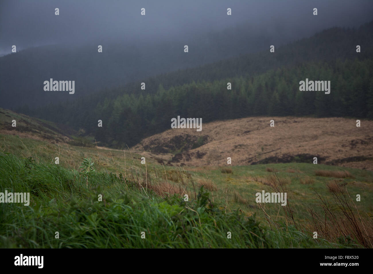 Mid-Wales paysage montagneux sur une journée d'été humide brouillard Banque D'Images