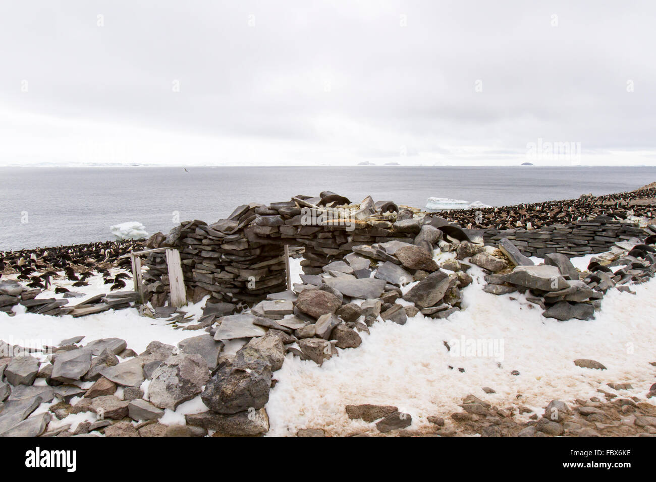 Reste de l'épave historique en pierre sur l'île Paulet, l'Antarctique. Banque D'Images