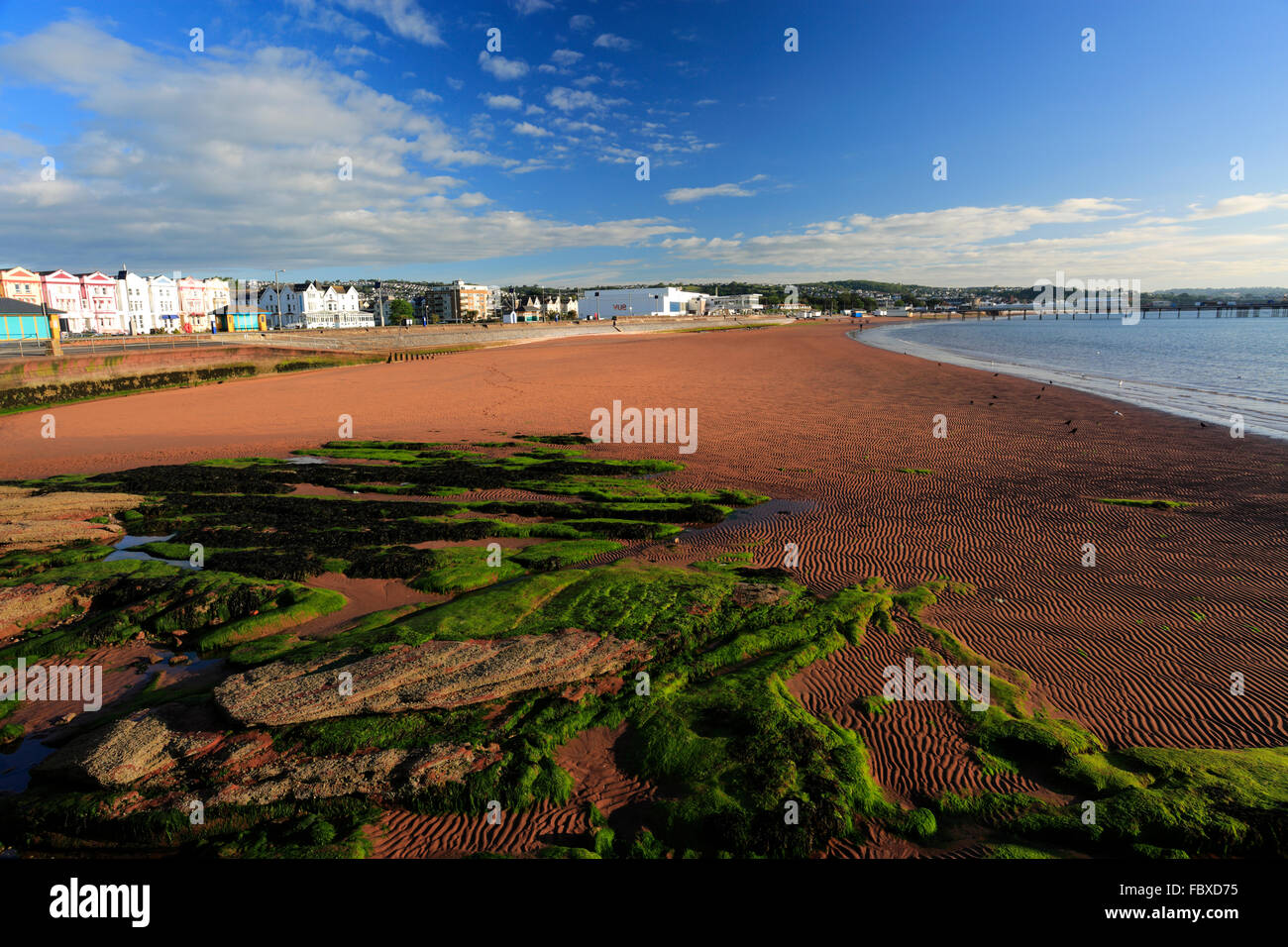 L'été, la plage de Paignton, Torbay, French Riviera, comté de Devon, England, UK Banque D'Images