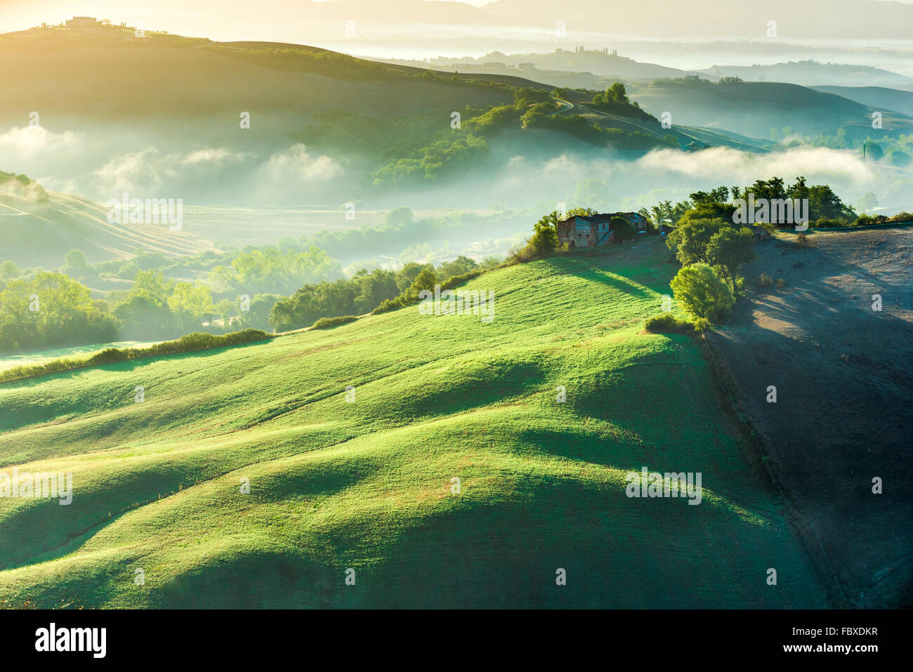 Amazing bruine sur les champs dans les rayons du soleil de Toscane, Italie Banque D'Images
