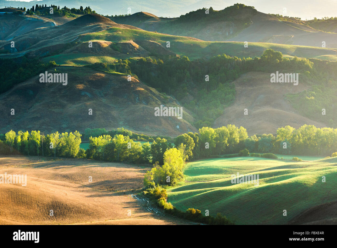Amazing bruine sur les champs dans les rayons du soleil de Toscane, Italie Banque D'Images