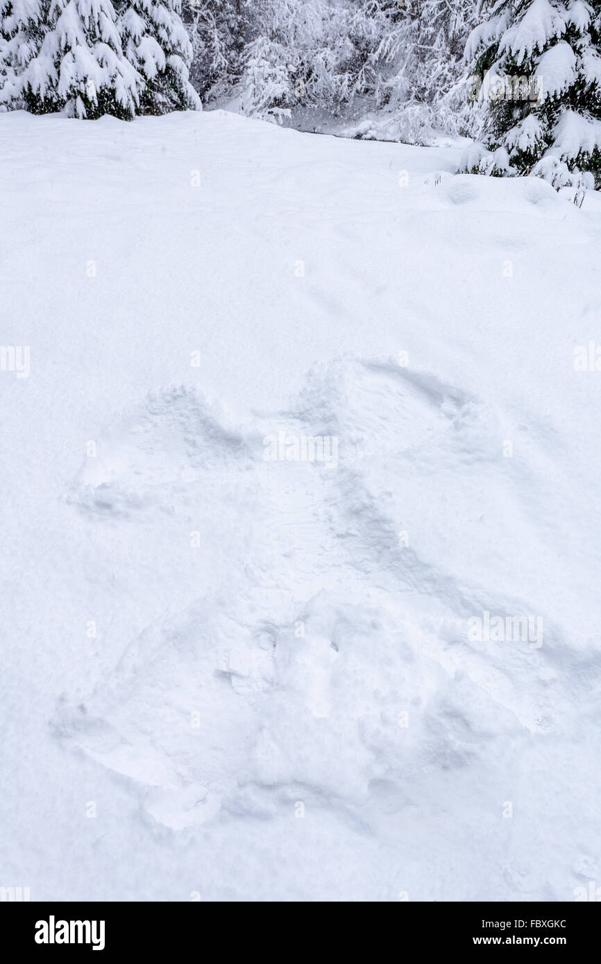 L'empreinte sur la neige en forme d'ange Banque D'Images