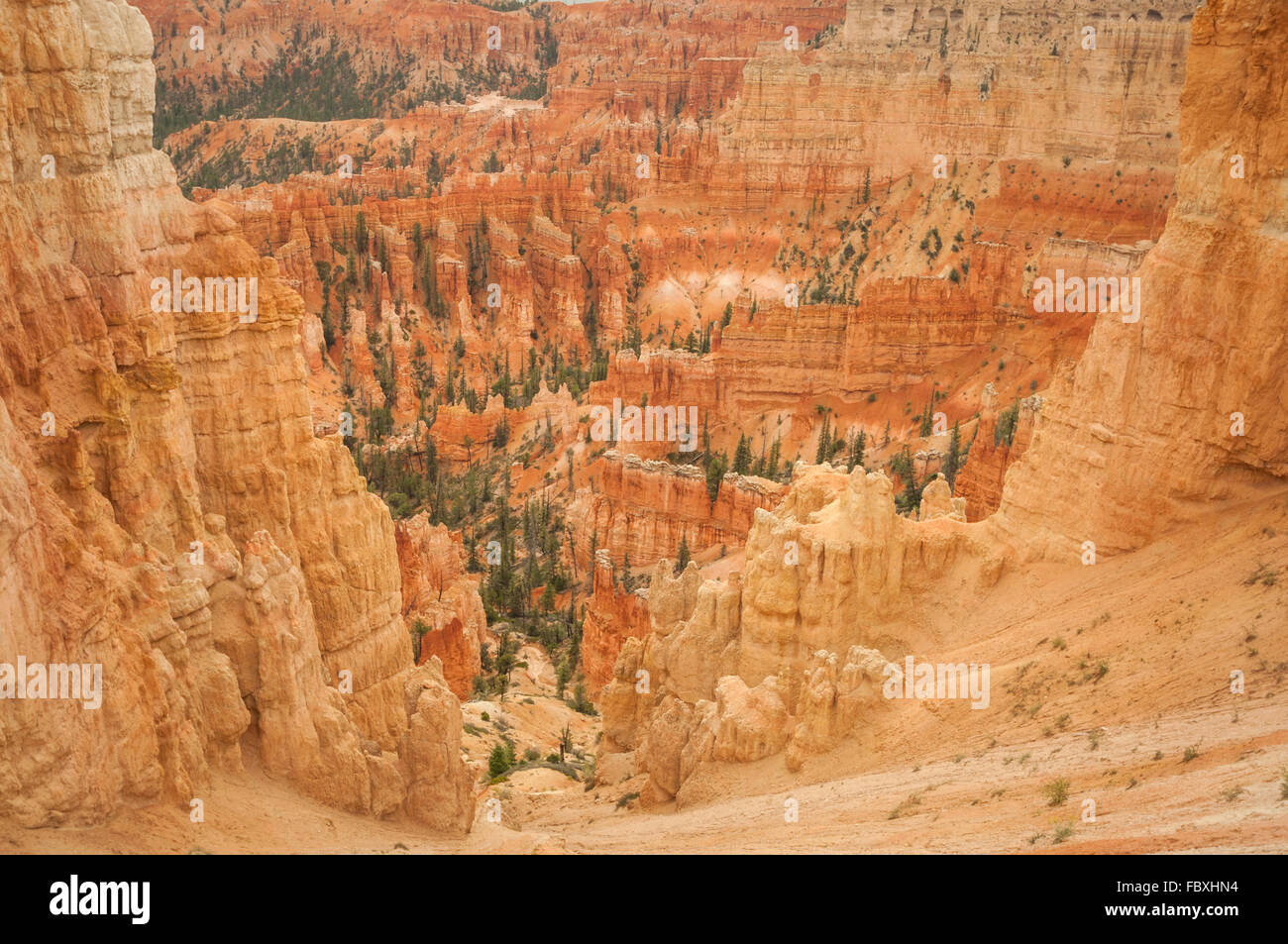 Bryce Canyon étudier valley Banque D'Images