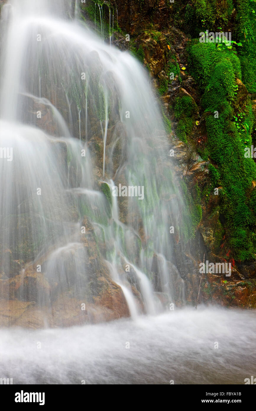 Cascade dans la forêt tropicale près de Port Alice, Nord de l'île de Vancouver, l'île de Vancouver, Colombie-Britannique, Canada. Banque D'Images