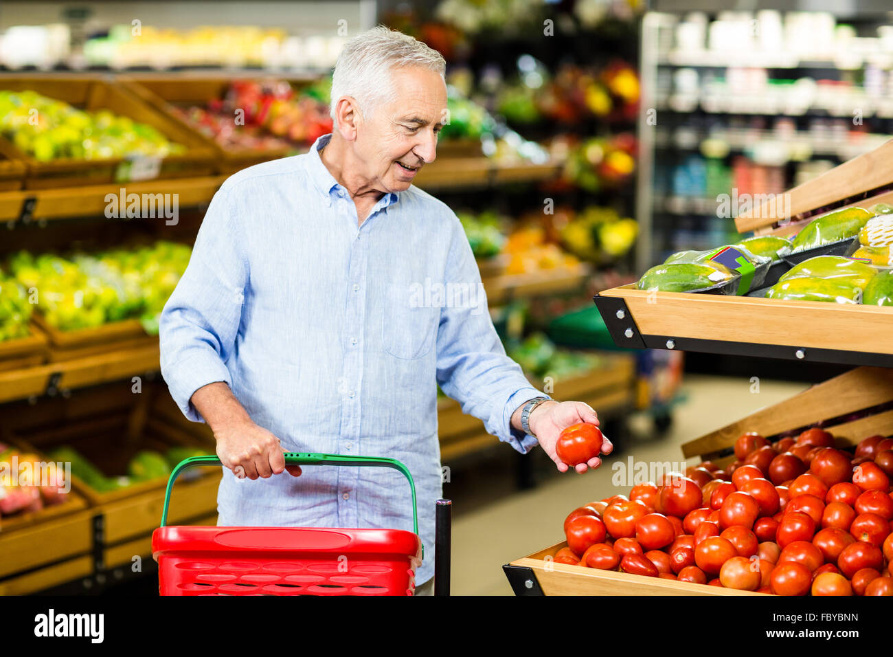 Man cueillette à la tomate Banque D'Images